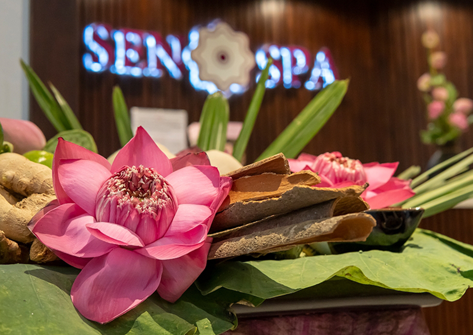 Sen Spa - Phân Khu Tách Biệt Hiện Đại (Quận 1)